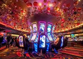 starzino casino Sportsbook